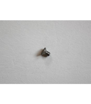 Yeoman Glass Clamp Screw