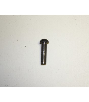 Town & Country Door Hinge Pin