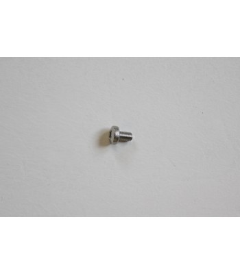 Huntingdon Glass Screw - SH51