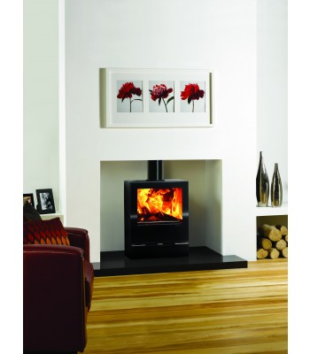 Vision Medium Multifuel Eco Fire