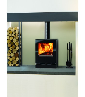 Vision Small Multifuel Eco Fire