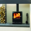 Vision Small Multifuel Eco Fire