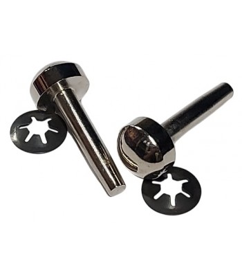 Tiger Cub Mk1 Hinge Pin Pair